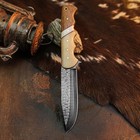 9.4" Damascus Bushcraft Knife Full Tang Hybrid Handle Survival Leather Sheath — photo 4