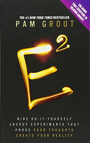 E-Squared: Nine Do-It-Yourself Energy Ex..., Grout, Pam