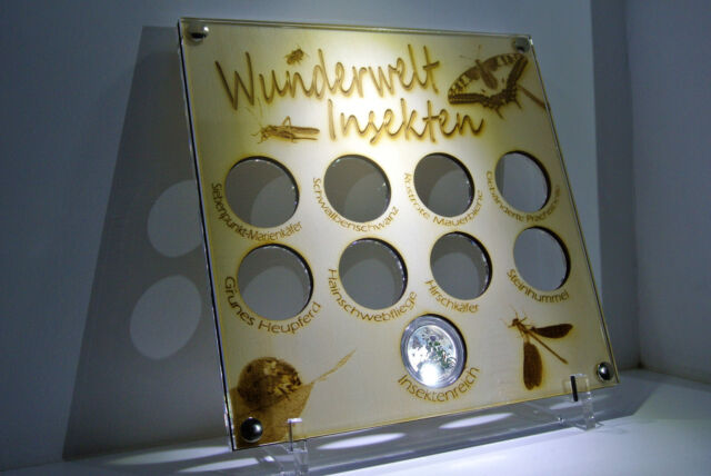 Acrylglas u. Holz Aufsteller für 5 Euro Münzen Wunderwelt Insekten Insektenreich