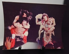 Van Halen 1979 Live Photo – David Lee Roth & Band Onstage – Tom Paradiso 8x10