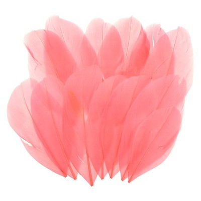 80 Pcs Orange Red Craft Goose Feathers 2-3.1 Inch Feathers Bulk for Crafting