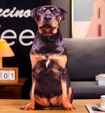 Rottweiler Dog 20" Printed Pillow Stuffed Animal Plush Toys Doll Kids Gifts