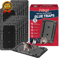 Glue Mouse Traps Indoor for Home -12 Pack Sticky Mousetraps Indoor