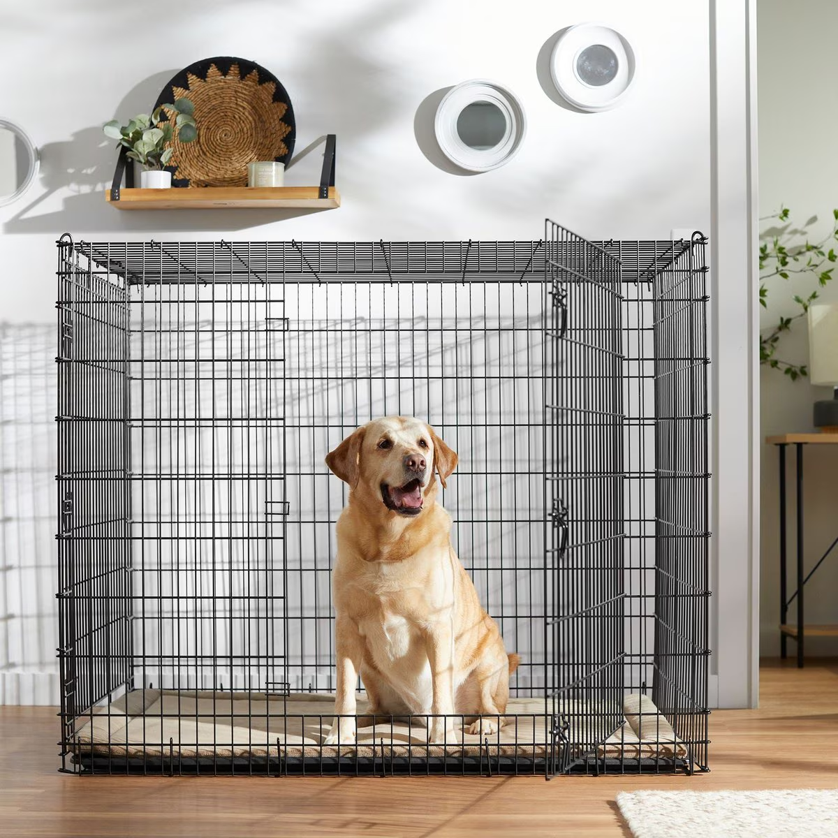 Frisco XX-Large Heavy Duty Double Door Wire Dog Crate, XX-Large | eBay