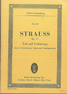 strauss transfiguration richard death