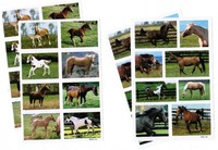 4 Sheets Beautiful Horses Horse Mare Scrapbook Stickers 4 Sheets Beautiful Horses Horse Mare Scrapbook Stickers