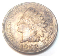  on The Hot Collector