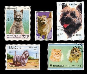 CAIRN TERRIER Scottish Dog International Postage Stamps Collection of 5
