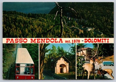 Passo Mendola (Mendel Pass) in the Dolomites, Italy Postcard Funicular