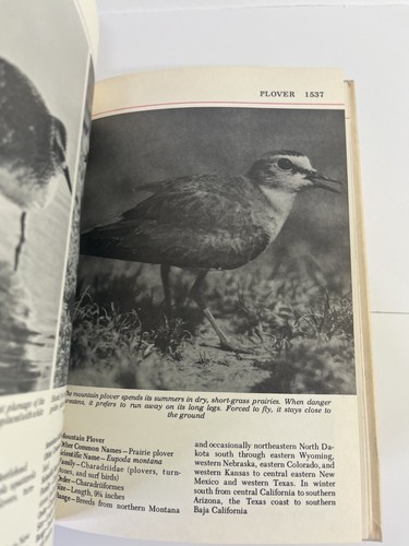 Audubon Nature Encyclopedia Complete Vintage Hardcover Book SET - Picture 8 of 24
