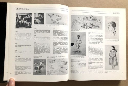 Pablo Picasso: Retrospectiva, The Museum of Modern Art, 1980, HC/DJ, Spanish VG! - 第 15/19 張圖片