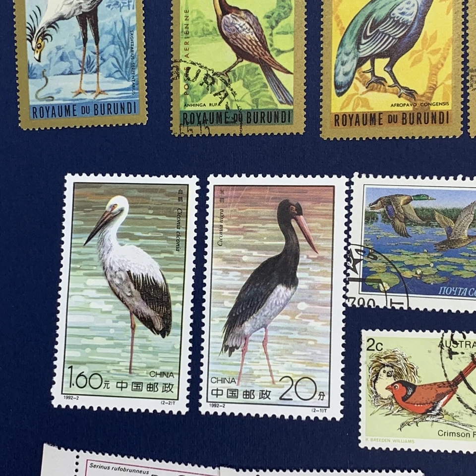 LOTE DE 34 SELLOS DE AVES DIFERENTES DE CHINA, BURUNDI, RUSIA, QATAR Y MÁS DE LA GUERRA MUNDIAL Foto 2 de 4