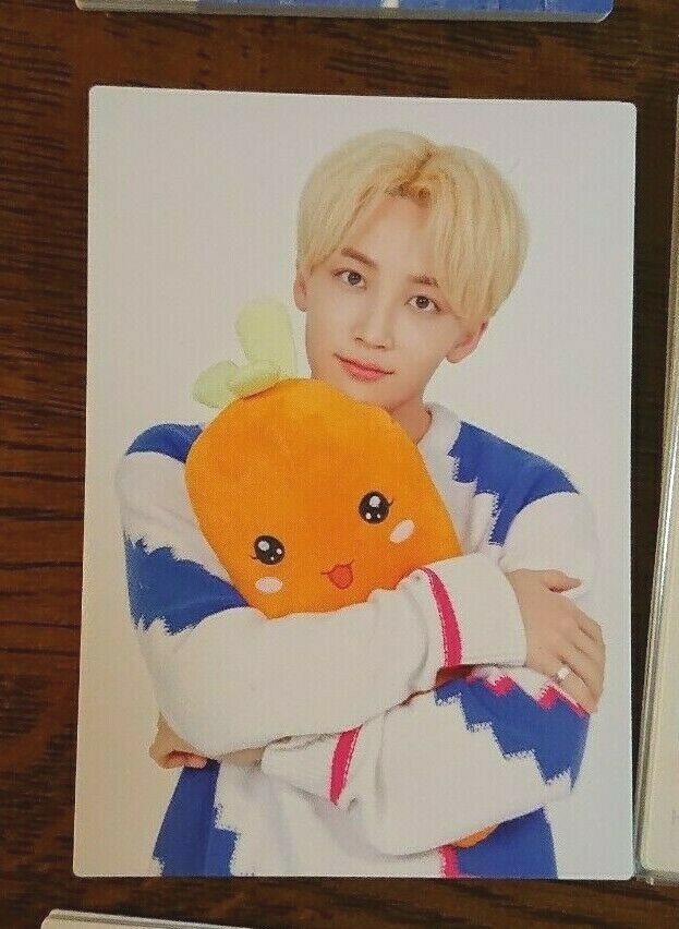 ジョンハン　SEVENTEEN 2019 JAPAN TOUR HARU トレカ SEVENTEEN JEONGHAN -HARU JAPAN Tour- Official Limited Goods