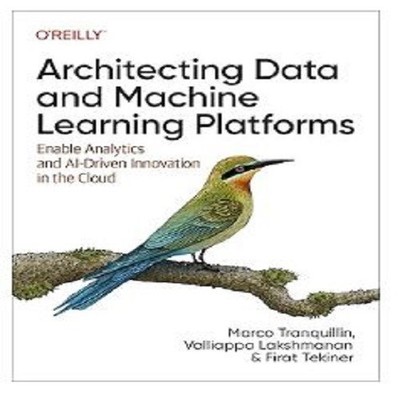 Oreilly Architecting Data And Machine Learning platforms Paperback