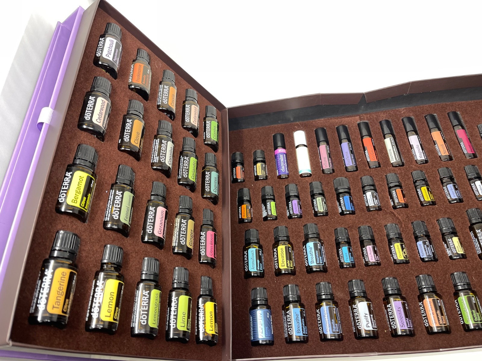 Collectors Kit 80 +oils