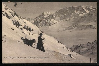 Ansichtskarte Grand St. Bernard, A la recherche d´une victime 