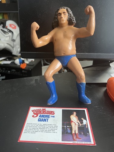 WWF LJN Andre the Giant Long Hair 8� Superstars Ac...