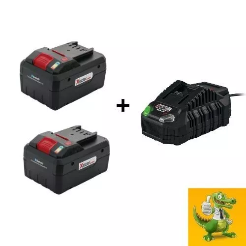 Parkside® Lot de 2 batteries 20V 8Ah + 1 Chargeur 2.4A (OFFERT)