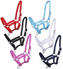 Fohlenhalfter 3-fach verstellbar Halfter für Fohlen Falabella Shetty Pony Full