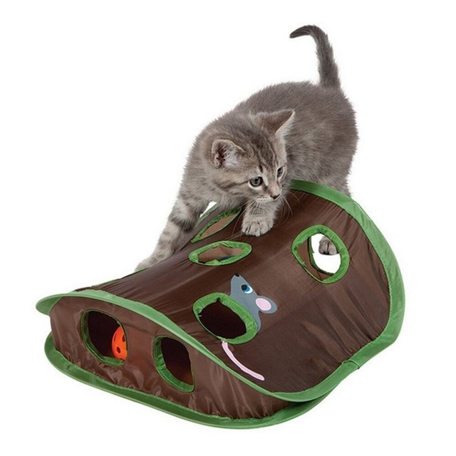 cat hunt toy