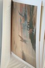 Bild 4 von 5