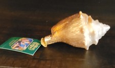 Old World Christmas Glass Blown Ornament, Seashell NWT