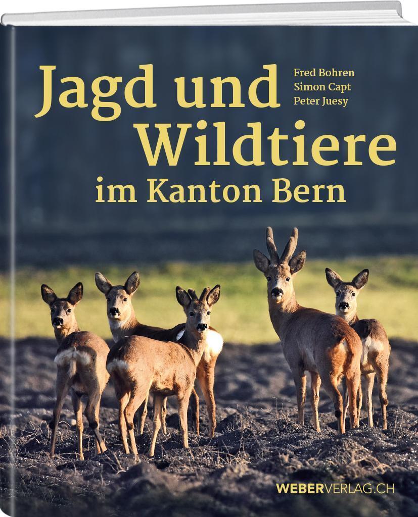 Thumbnail - Jagd Und Wildtiere Kanton Bern Von Der Vergangenheit In Die Zukunft