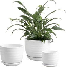 Set of 3 Small to Medium Sized Round Modern Ceramic Garden Flower Pots, White