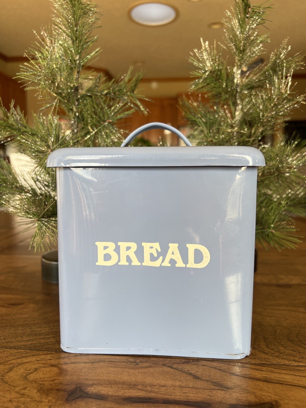 Vintage Enamelware Bread Box Metal Small Tin Farmhouse Country Primitive