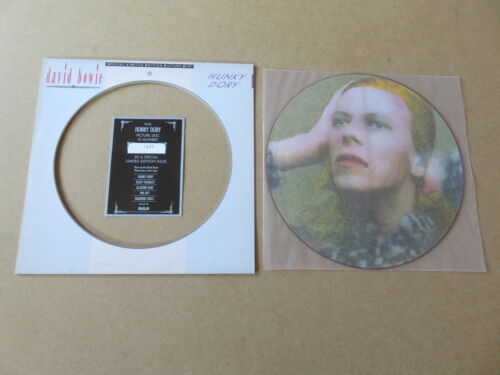 DAVID BOWIE COMPLETE ORIGINAL NUMBERED UK 1984 BOPIC 5 x PICTURE DISC LP SET - Imagen 3 de 12