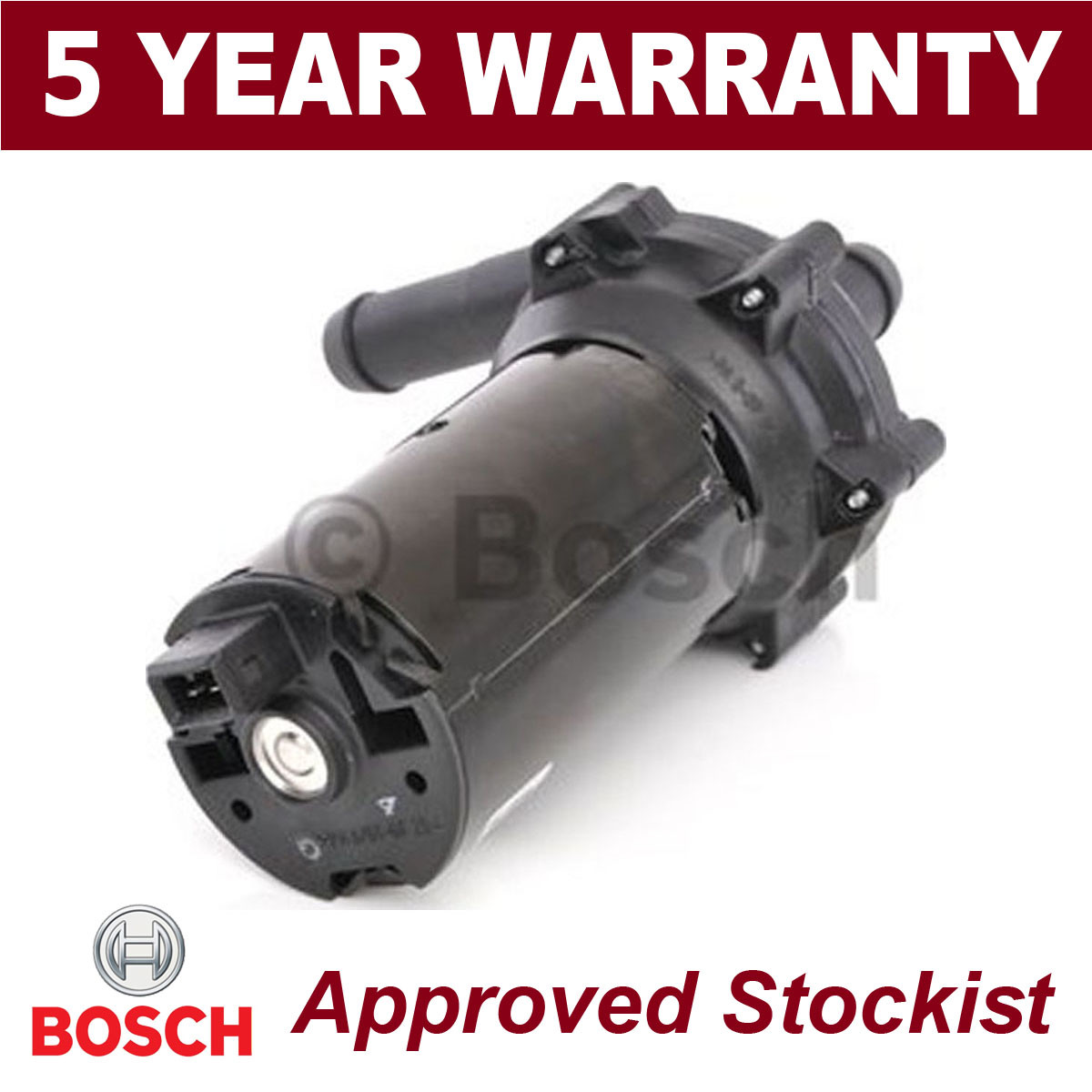 BOCCOM ボッコム デグモ トップウォーター 【公式通販】