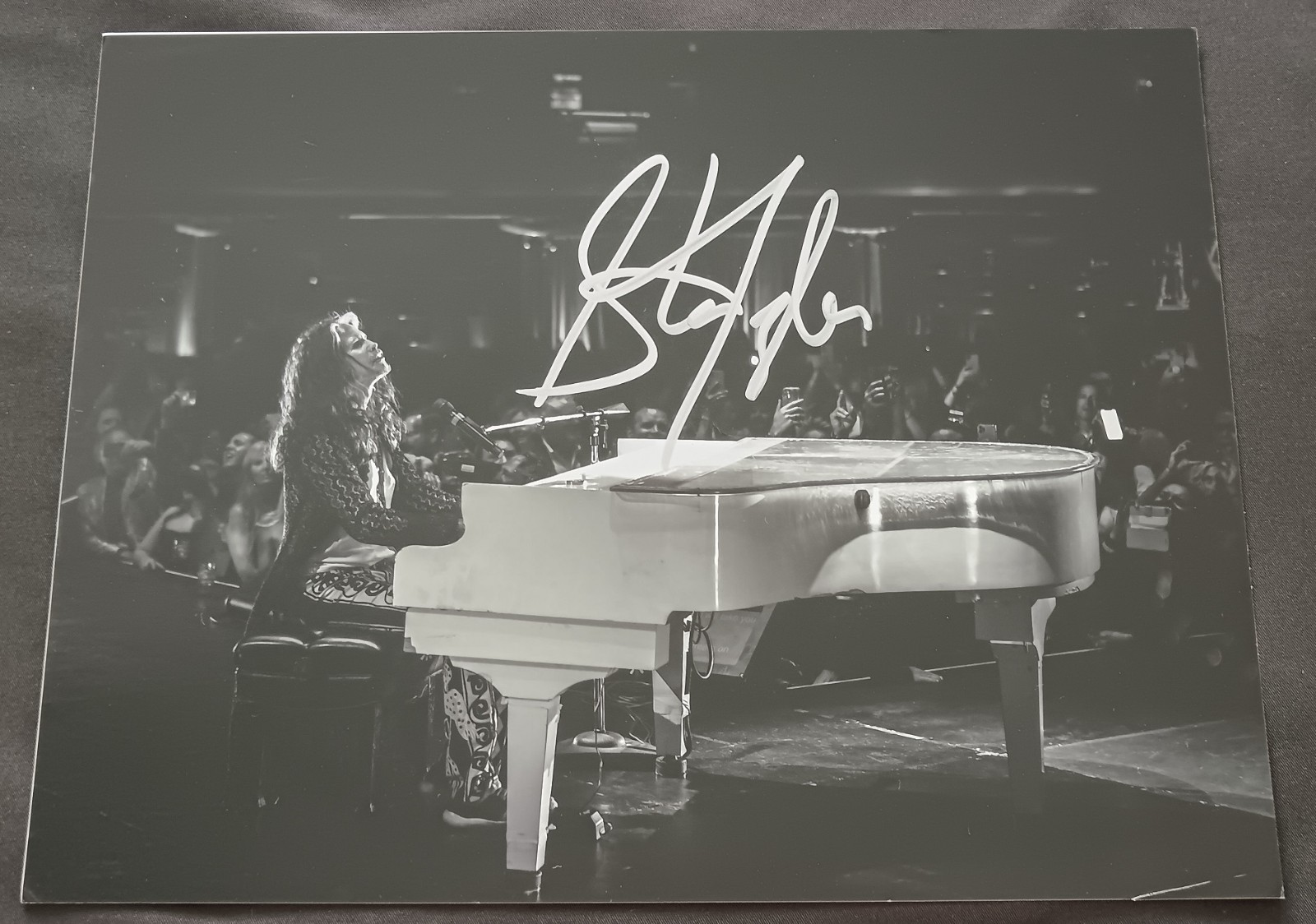 Steven Tyler SIGNED Janie Fund Charity AUTOGRAPHED 8x10 Fine Art Photo Aerosmith