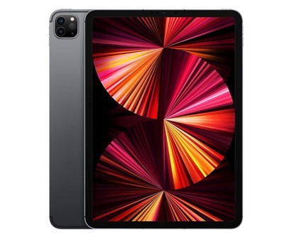 2021 Apple 11-inch iPad Pro (Wi-Fi + Cellular, 1TB) - Space Gray
