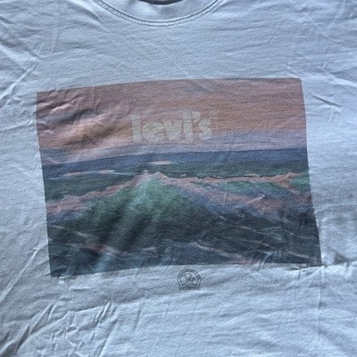 Levi's Men's Relaxed Fit Graphic Logo Crew Neck Short Sleeve Cotton Tee L/G