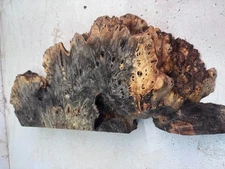 Buckeye Burl Slab with Live Edge | Dry | BB 392