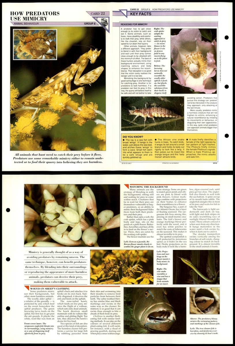 How Predators Use Mimicry #22 Behaviour Wildlife Fact File Fold