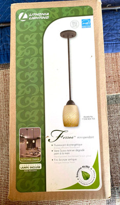 Lithonia Lighting Ferros Mini-Pendant (Model No. 11536 BZA TGS)