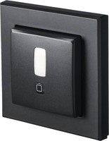eQ-3 AG Homematic IP Motion Detector per 55 Frame - Internal 159903A0