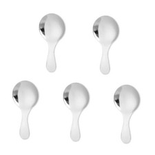 5 PCS Short Handle Spoons Mini Scoops Stainless Spoons for Canisters Silver