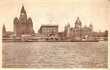 Liver Cunard und Dockgebäude Liverpool um 1951 Postkarte (E996)