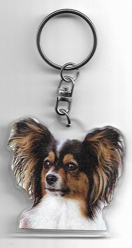 EPAGNEUL PAPILLON CHIEN PORTE CLES / BUTTERFLY SPANIEL DOG K.FOB - Imagen 1 de 2