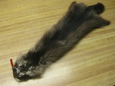 Tanned Raccoon Hide Craft Grade DAMAGED Fur Coats Trapping 0006221 Row A-5