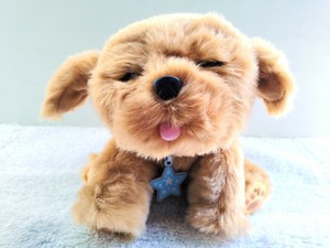 snuggles dream puppy