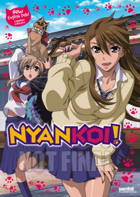 Nyan Koi!: Complete Collection, Very Good DVD, Connor Leach,Lesley Pedersen, Ler