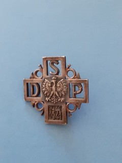 Rare insigne de la 2éme Division polonaise de Chasseurs ( 1940 1941)