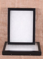 Collector's Display Case: 6 x 8 x 3/4" Riker Type - Package of 2