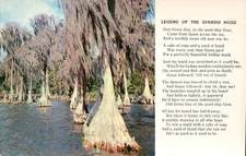 Vintage Spanish Moss Legend Scenic Postcard by Tichnor Bros USA
