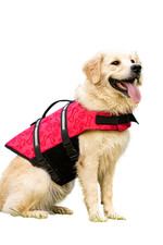 Hundeschwimmweste M pink Rettungsweste Hunde Schwimmweste Weste reflektierend