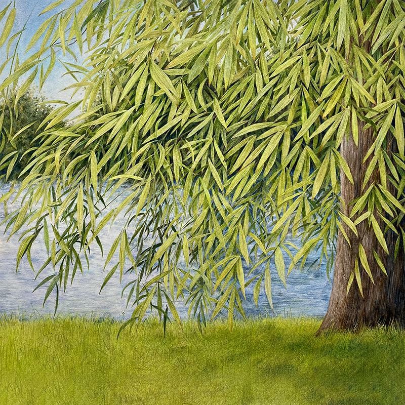 Martin Simpson, Thomm Jutz Nothing But Green Willow (The Songs of Mary Sands and
