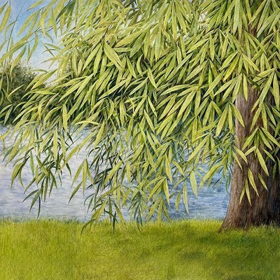 Martin Simpson, Thomm Jutz Nothing But Green Willow (The Songs of Mary Sands and